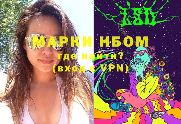 прущие крисы Новозыбков
