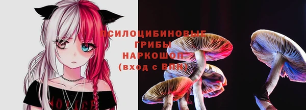 амфетамин Новодвинск