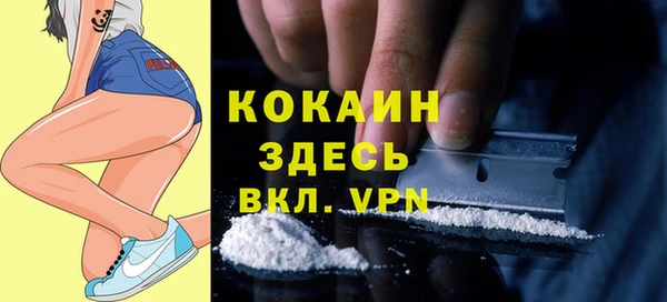 прущие крисы Новозыбков
