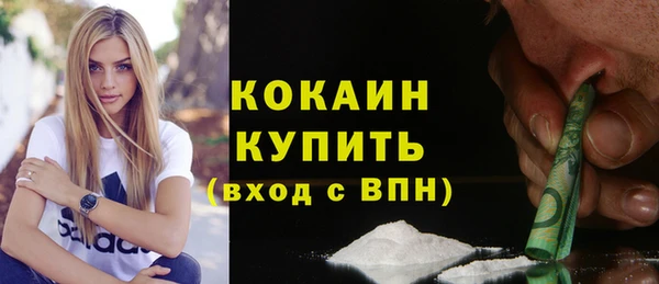 прущие крисы Новозыбков