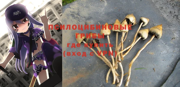 дмт Нея