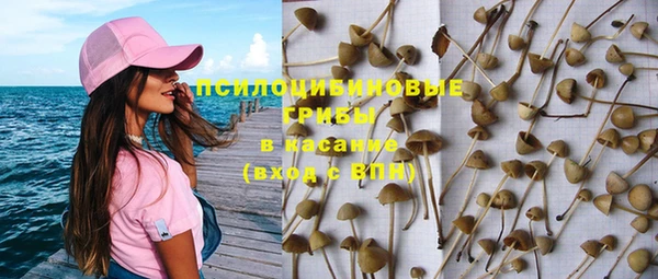 амфетамин Новодвинск