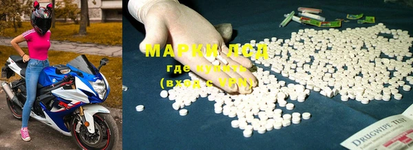 прущие крисы Новозыбков