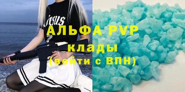 прущие крисы Новозыбков