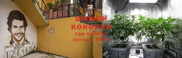 амфетамин Новодвинск
