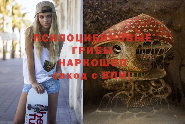 прущие крисы Новозыбков